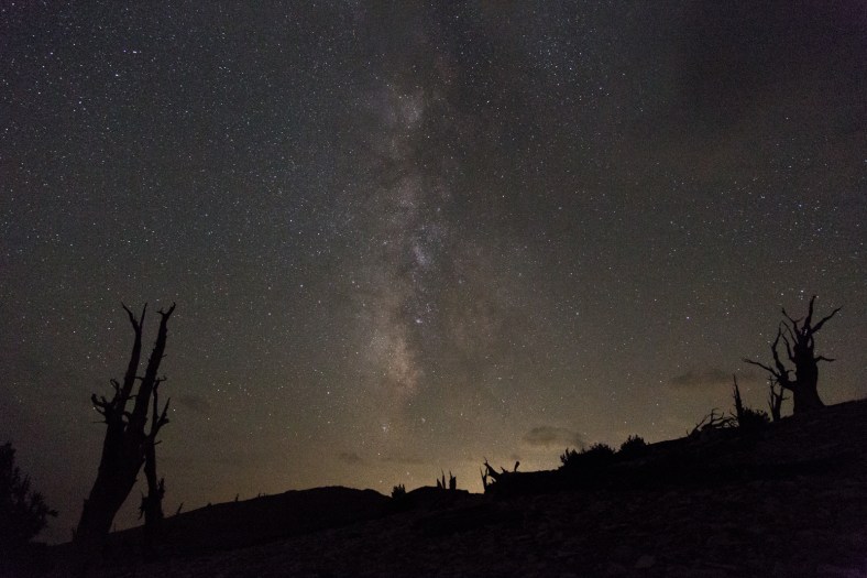 Milky Way, Ancient Bristlecone Pine Forest, 10.0 sec @ f/4.0, ISO 12800