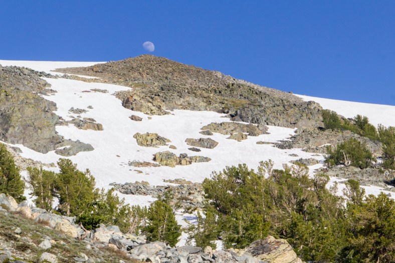 Moon rising over the horizon