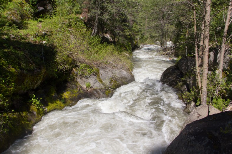 The mighty Kaweah River