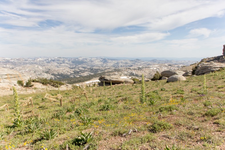 View of Emigrant Wilderness